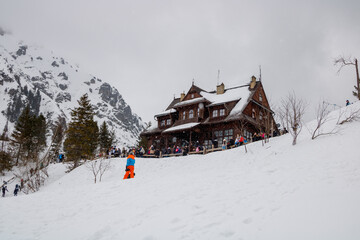 Naklejka premium snowy mountains 