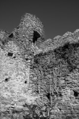 Ruins of the medieval castle Chojnik