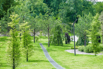 Beautiful green botanical landscape design in garden, city park with trees, bushes and benches, fresh grass lawn. Scenic summer gardening nature background, concept