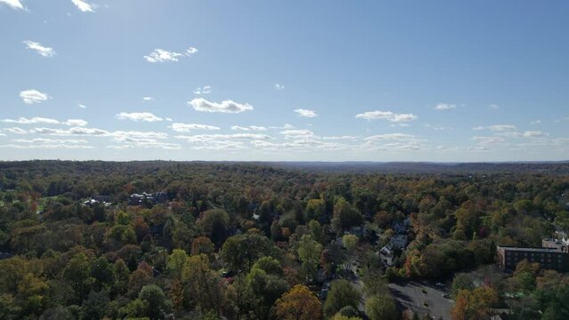 Drone fall trees towards horizon