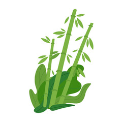 Fototapeta premium Vector flat style illustration of a bamboo