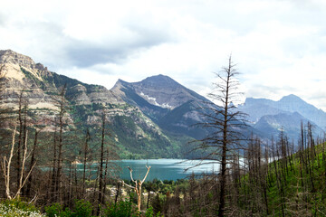 Waterton lake in the Canadian Rocky mountains surrounded by trees