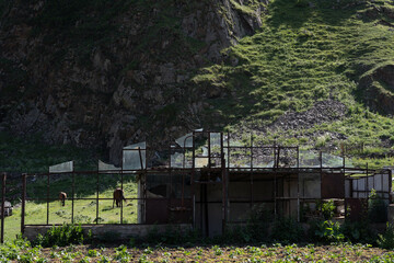 a beautiful fabulous mountain trail with a fence along the edge, where in the distance you can see the clan village.