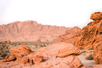 Colourful rocks and bushes in Valley of Fire Nevada State Park