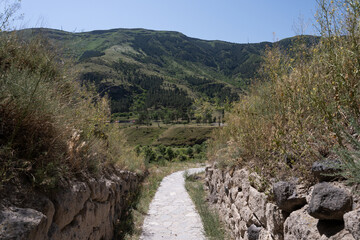 Georgia's rocky mountains with green bushes along the edges and a small road between them.