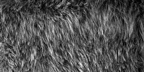Fur, Black fur, Faux Fur Photo, for background and textures, texture of a fur