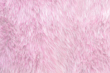Fur, Pink Fur, Faux fur photo, for background and textures, pink fur texture