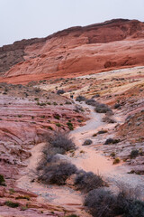 Hiking trail in Valley of Fire Nevada State Park