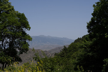 view of the mountains among the dark green trees where you can see a spectacular distant view of the mountains