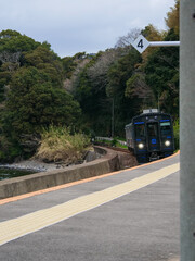 Naklejka premium 千綿駅の森から電車