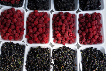 raspberries, blackcurrants and blackberries are put up in white boxes, which together form an interesting pattern