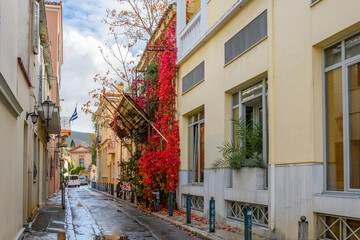 An empty street in the Plaka area of Athens, Greece after a morning rain with colorful foliage covered a wall in Autumn.