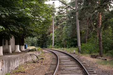 Fototapeta premium Railway tracks with a concrete elevation along the edge on which grow trees where the lower parts of the trunks are painted white