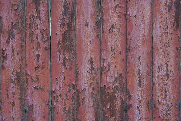 vertically arranged close-up of a metal fence where the light pink color lobes off