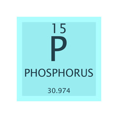 P Phosphorus Non reactive metal Chemical Element Periodic Table. Simple flat square vector illustration, simple clean style Icon with molar mass and atomic number for Lab, science or chemistry class.