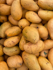 Ataúlfo mango variety for sale in the market