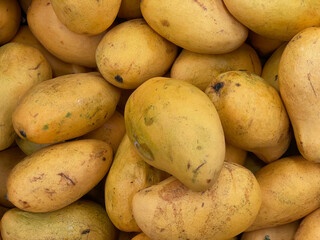 Ataúlfo mango variety for sale in the market