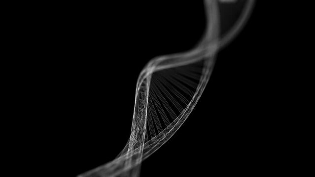 Dna genome rotating seamless animation. Bio genetic medical science. Gene helix model 4k motion background. Molecular biology future concept.