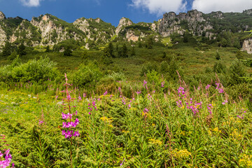 Obraz premium Landscape of Rila mountains, Bulgaria