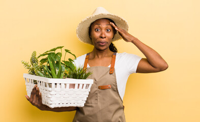 black pretty woman looking happy, astonished and surprised