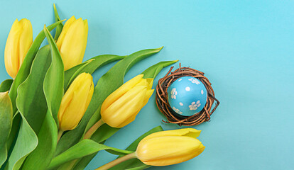 Blue Easter egg lie in a nest with yellow tulips arrangement on blue background. Flat lay top view with copy space. Happy Easter holiday.