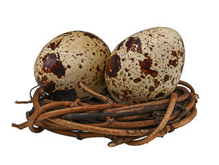 Two fresh quail eggs lie in a nest isolated on white background. Happy Easter holiday. Minimal concept for Easter.