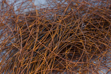 armature rusty rods for building a house in a house under construction