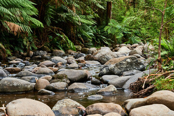 Steavenson Falls, a waterfall on the Steavenson River, is located 4 kilometres southeast of...