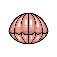 Cute little clam cartoon design