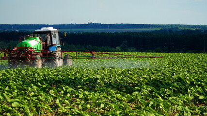Young sunflower plants in field spraying, agriculture in spring, tractor with equipment Aerial view. © Nelia2