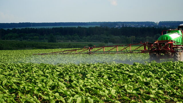 agricultural machine sprays herbicides large field of sunflowers on a sunny day
