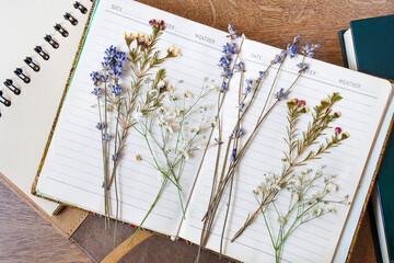 Pressed dried flowers over a diary, journal and agenda.