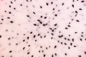 Close up of dragon fruit or pitaya seeds, texture background