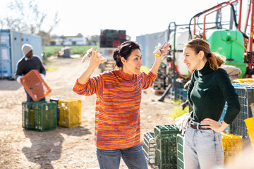 Quarrel between two women in the backyard of a farm after work