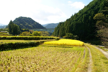 あらぎ島