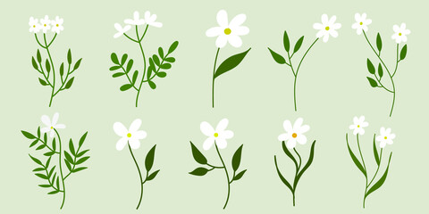 White Flower Illustration