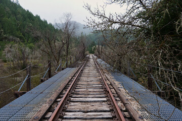 Fototapeta premium Old abandoned train bridge over a river in northern California on a rainy day 