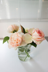 roses in the vase,pink rose