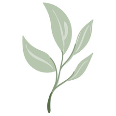 Leaf vector. Collection of leaves