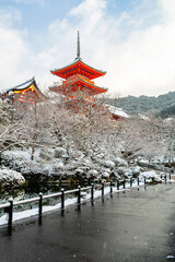 Fototapeta premium 日本の冬・雪の京都 清水寺