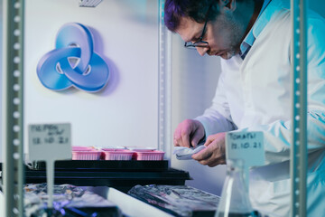 Laboratory assistant in the laboratory of of food quality