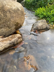 Mountain spring water, stream between rocks and stones