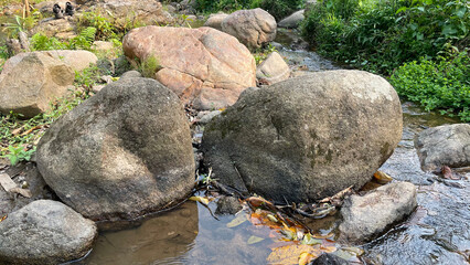 Mountain spring water, stream between rocks and stones