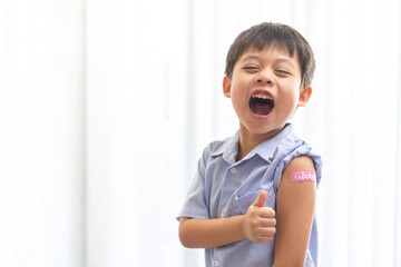 Portrait of happy smile vaccinated little asian kid boy children ages 5 to 11 years old posing show...