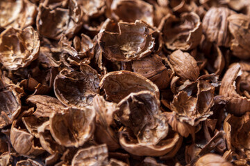 pilled walnut isolated on white background. Composition from nuts on the white isolated background