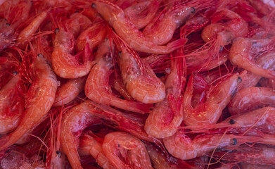 A pile of shrimps for sale at a fish counter. Fresh prawn sale in a fish market. Shrimps in ice.