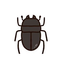 かわいいクワガタムシ　メス