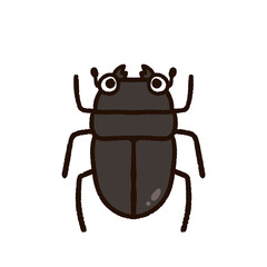 かわいいクワガタムシ　メス