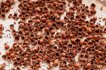 Broken hazelnut shells. Pieces of shell fruits.