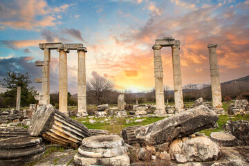 Fototapeta premium Afrodisias Ancient city. (Aphrodisias). The common name of many ancient cities dedicated to the goddess Aphrodite. The most famous of cities called Aphrodisias. Karacasu - Aydın, TURKEY